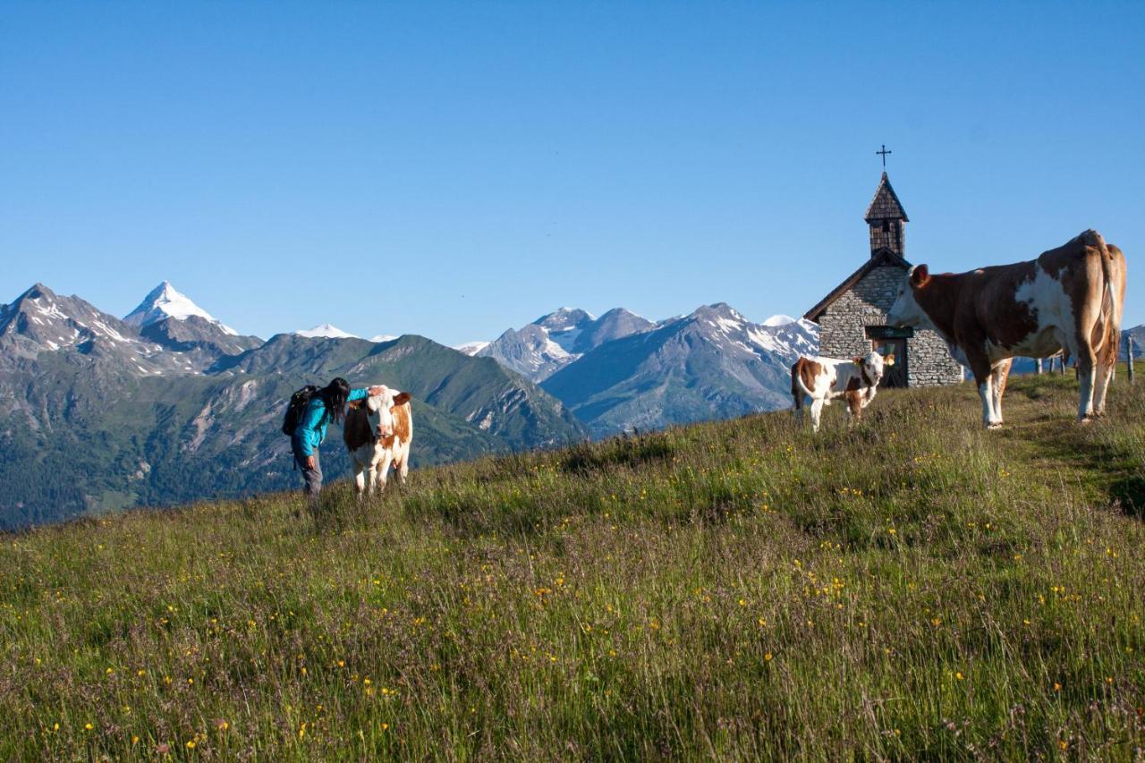 Almgasthaus Glocknerblick Großkirchheim Dış mekan fotoğraf