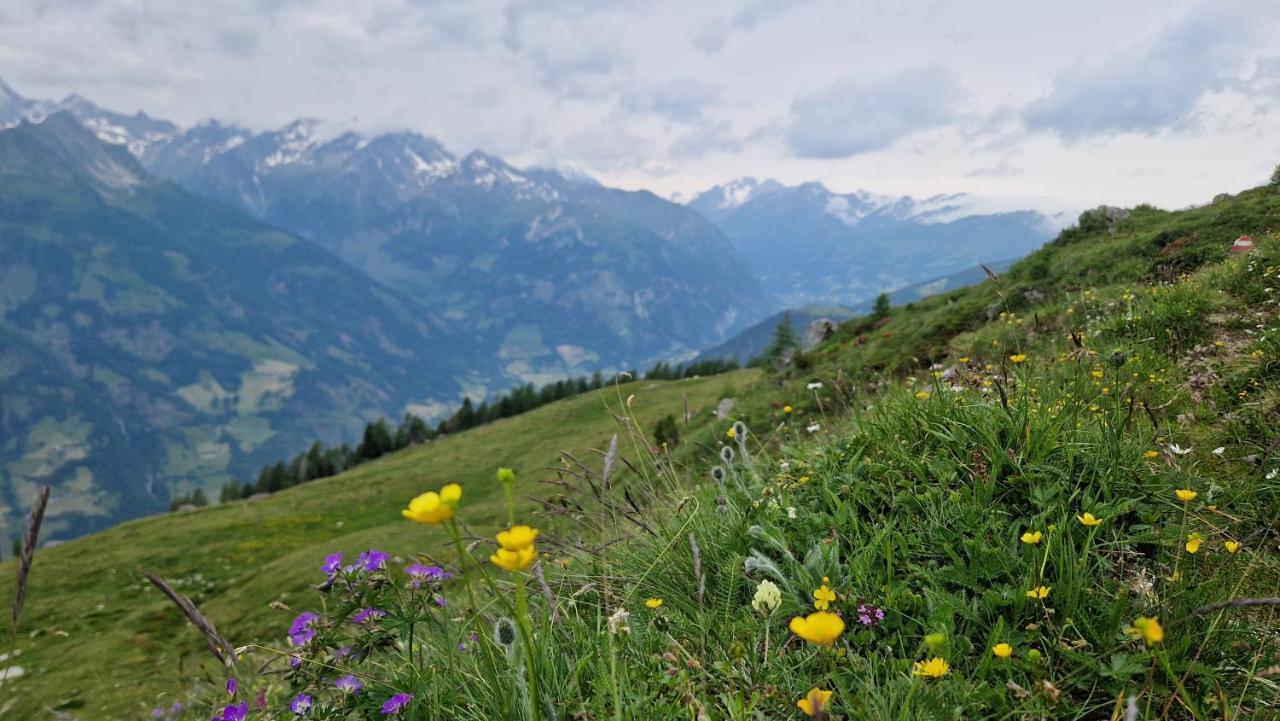 Almgasthaus Glocknerblick Großkirchheim Dış mekan fotoğraf